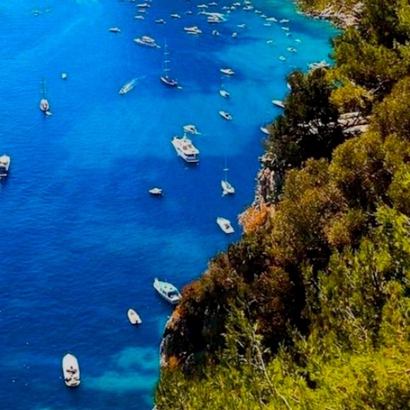 Meet your Posher, Natalie - Picture 1 of 1